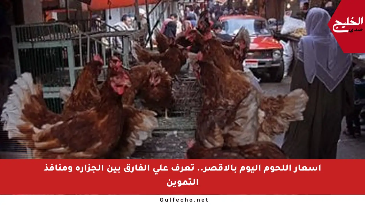 أسعار اللحوم اليوم بالأقصر.. تعرف على الفارق بين الجزارة ومنافذ التموين